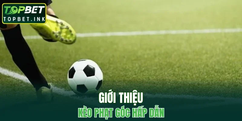 Giới thiệu kèo phạt góc hấp dẫn