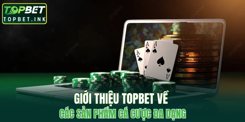 Giới thiệu TOPBET về các sản phẩm cá cược đa dạng